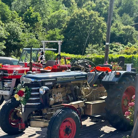 苏恩纳加酒店 酒店 3*