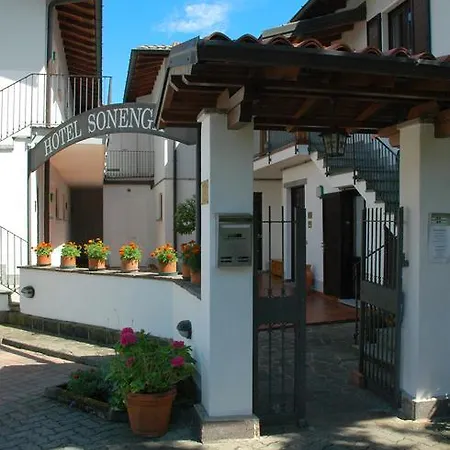 Sonenga Otel 3*