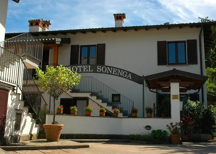 Hotel Sonenga